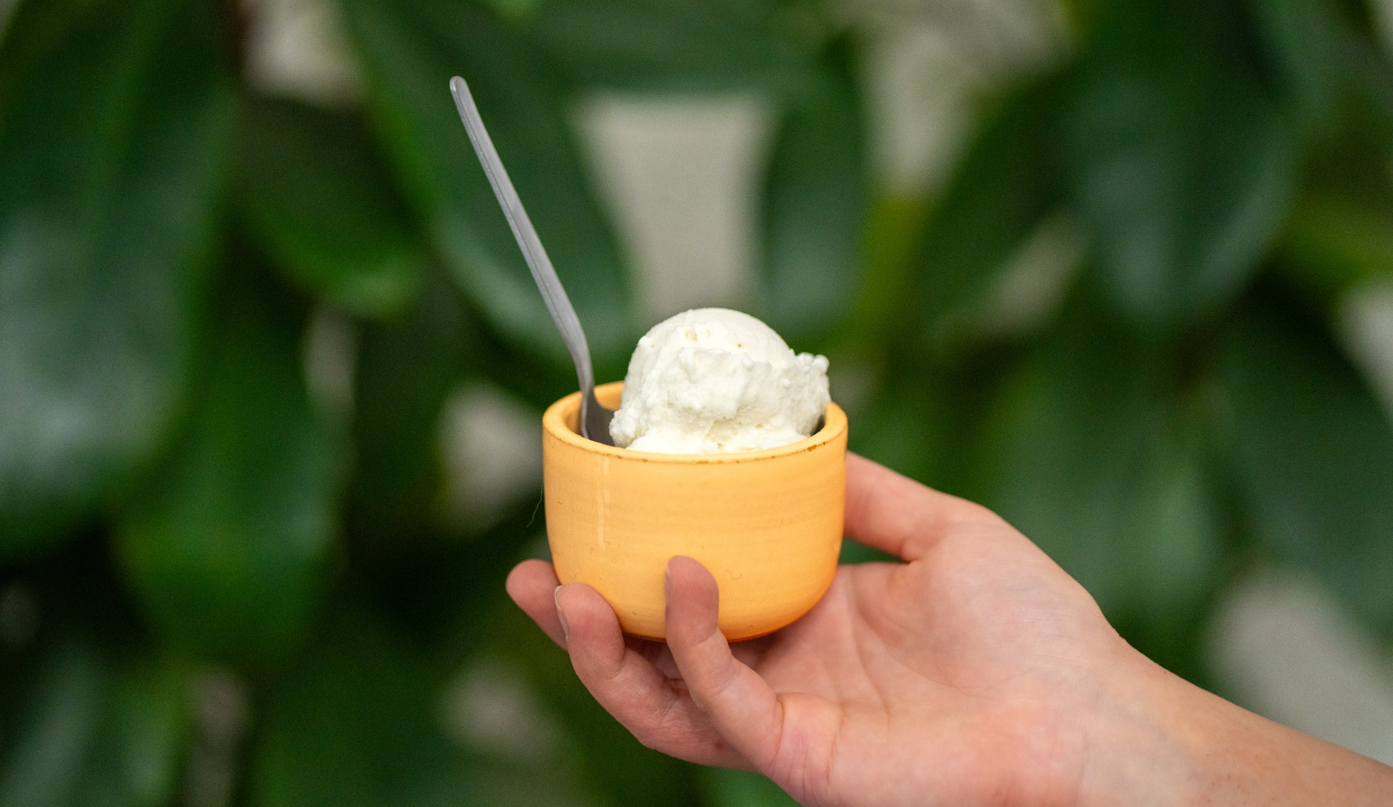 Lemon Sorbet with Honey and Spices
