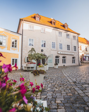Bellevue Hotel Český Krumlov